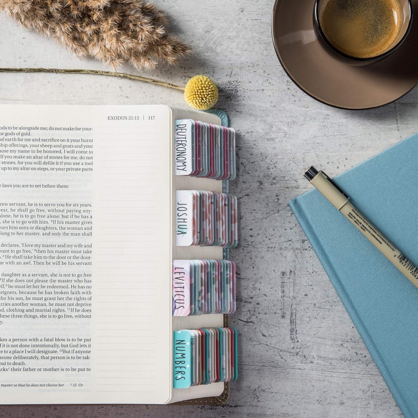 Beautiful Bible Tabs (12.99 Value)